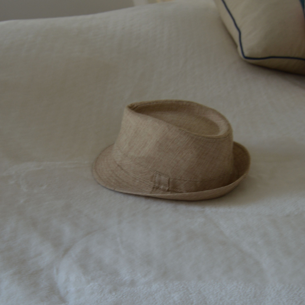 Mens Tan Fedora Hat, stylish, small